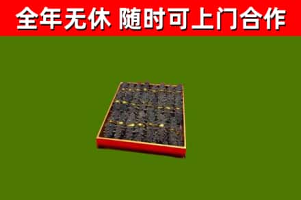 景宁回收海参